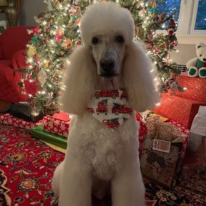 Meet your Posher, Glenn